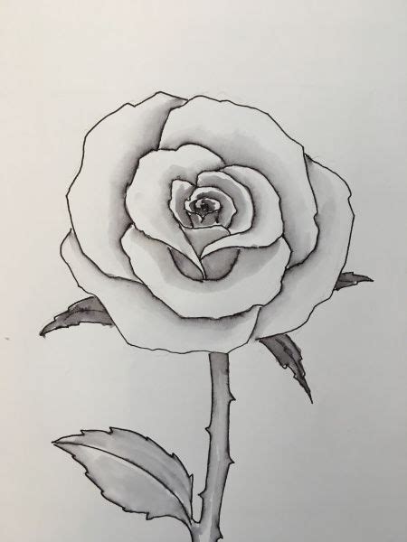 Easy step by step tutorial | Easy flower drawings, Rose ... Landscape drawing pencil sketches pen and ink 68+ ideas.