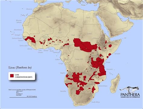 Map of where zebras live. Habitat and Niche - Lions