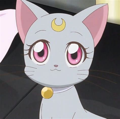 Pin By Andrea On Anιмε Diana Sailor Moon Sailor Moon Cat Magical