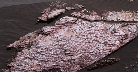 NASA S Curiosity Rover Has Found More Evidence Of Ancient Lakes On Mars