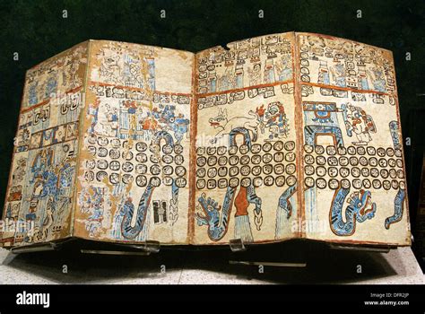 Grolier Codex Maya Civilization National Museum Of Anthropology Stock