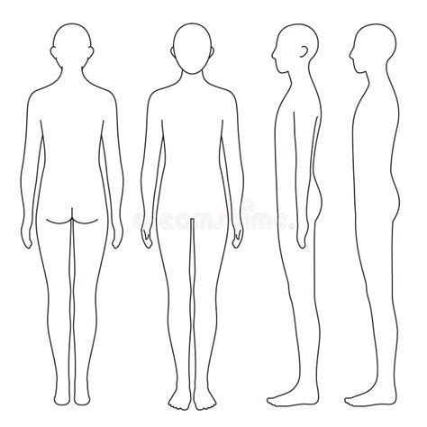 human body outline front back stock illustrations 645 human body outline front back stock