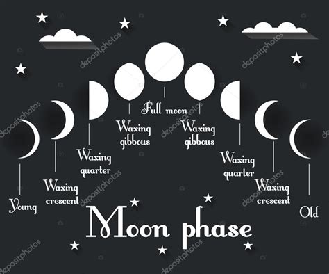 The Phases Of The Moon Vector Illustration Stock Vector Image By