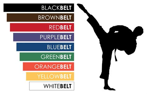 Aikido Belt System