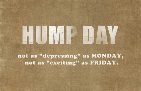 Oh Hump Day Our Life In Action