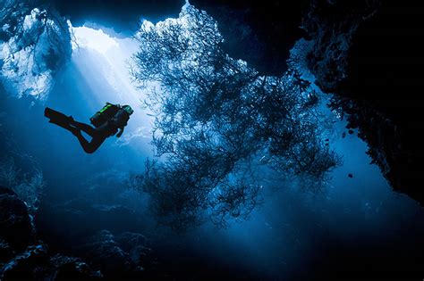 Best Cave Diving Trips And Safety Tips Global Rescue