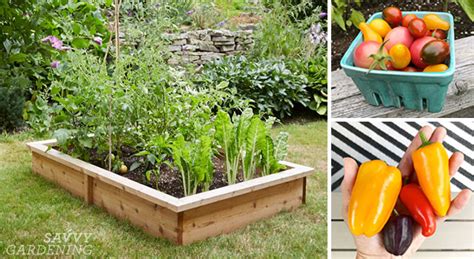 One of the most common refrains among gardeners every i have been growing my garden in raised beds for a few years now , and i think it is the best , and i might add a very nice view in the backyard, kind. 4x8 Raised Bed Vegetable Garden Layout Ideas: What to Sow ...