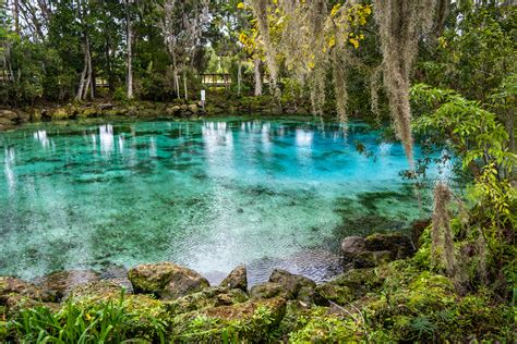 How To Visit Three Sisters Springs Crystal River Florida