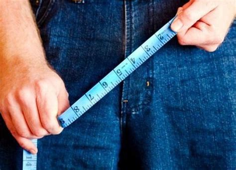 What Is The Average Penis Size By Country