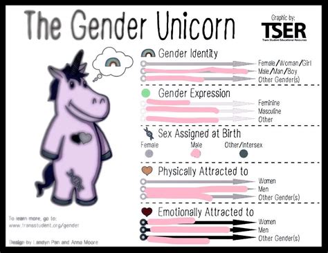 The Gender Unicorn Lgbt Amino