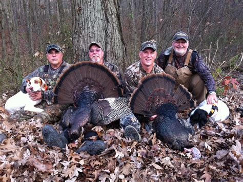 Best Hunting Tips For Fall Turkeys Field And Stream