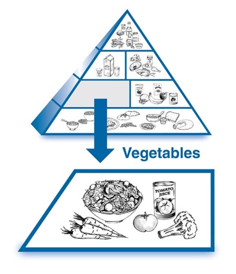 Update Food Pyramid Drawing With Labels Latest Seven Edu Vn