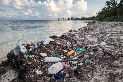 The Problem Of Marine Plastic Pollution Clean Water Action