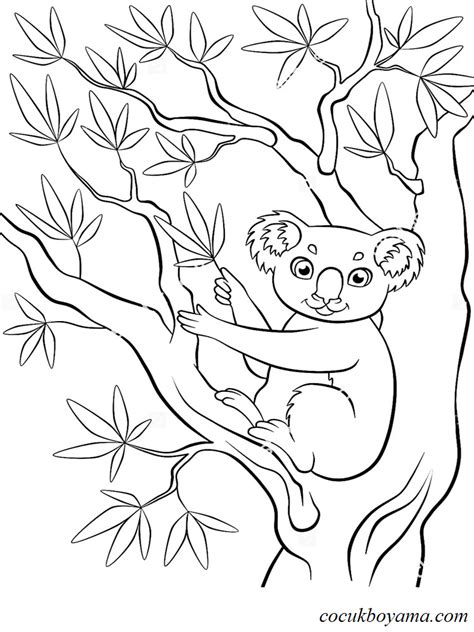Koala 8 Ücretsiz Boyama Resimleri