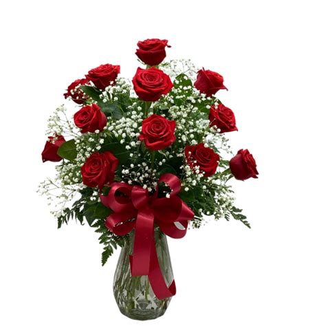 Doz Red Roses