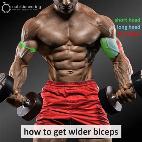 3 Steps To Wider Biceps Training Tips Exercises And Workout Nutritioneering
