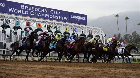 Breeders' Cup 2014: Race schedule, post time, odds and more for ...