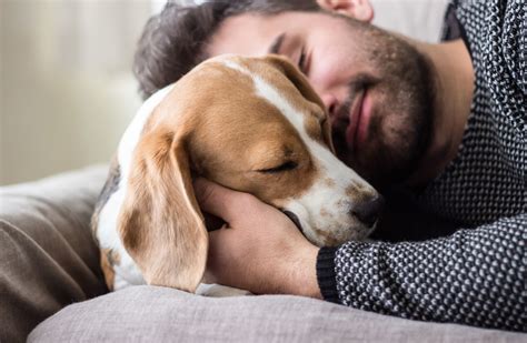 Your Evening Longread The Unbreakable Bond Between Humans And Dogs