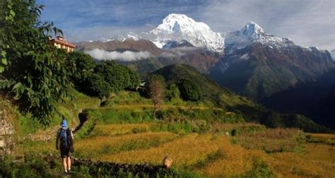 6 Dagen Koninklijke Trekking Door Nepal Eco Adventure Pvtltd Tourradar