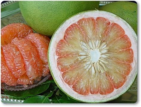 The flavors are well balanced, which is why we have chosen to sell this type of pomelo at patom. Bali Indonesia Holiday Travels: Jeruk Bali a Healthy Fruit