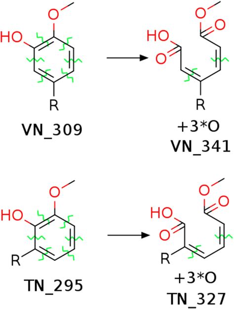 Criegee Mechanism For Addition Of 3 O Only One Of The Possible Phenols