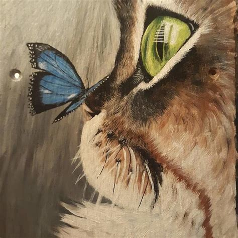 Butterfly On Cats Nose Painting By Lisa Sandberg Fine Art America