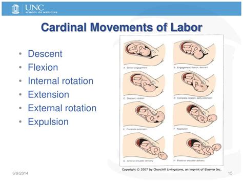 Ppt Labor And Delivery Physiology Normal Abnormal And Preterm Labor Powerpoint