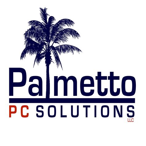 Palmetto Pc Solutions Llc Cayce Sc