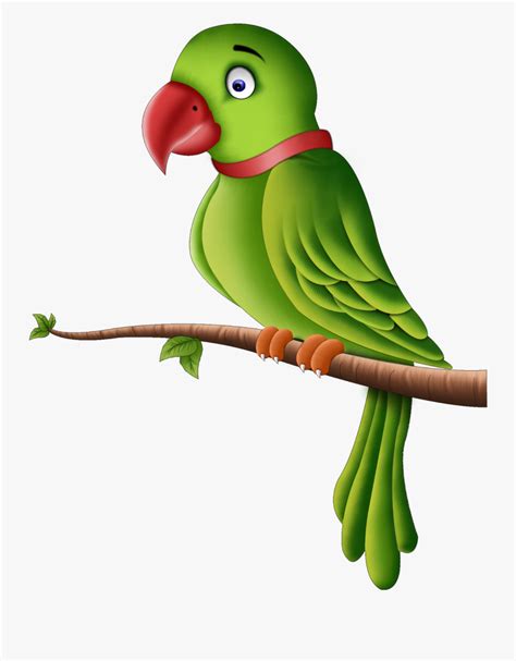 Clip Art Images Of Parrots Cartoon Green Parrot Parrot Is A Free