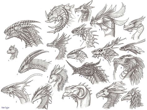 Dragon Head Drawing Reference And Sketches For Artists
