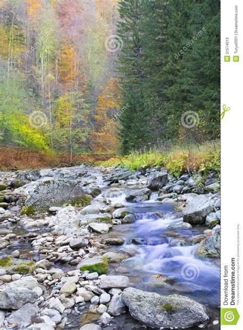 River And Autumn Tree Beautiful Landscape Stock Image