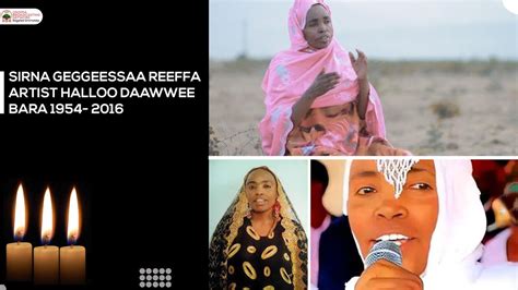 Sirna Gaggeessaa Reeffa Artiisti Halloo Daawwee Youtube