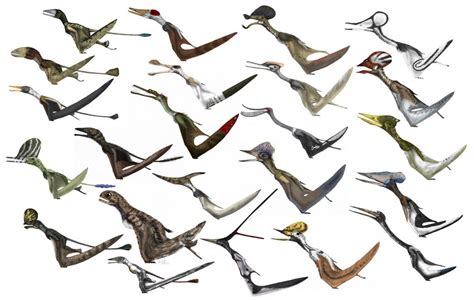 All Your Prehistoric Questions Answered — The History Of Pterosaurs Part 1 Evolution
