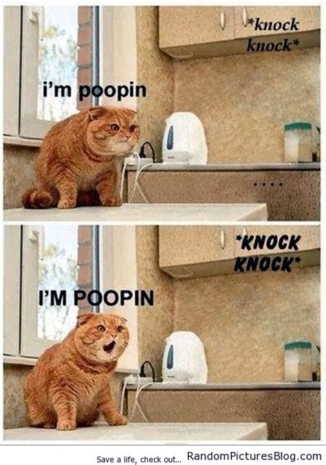 When My Roommate Knocks On The Bathroom Door Meme Guy