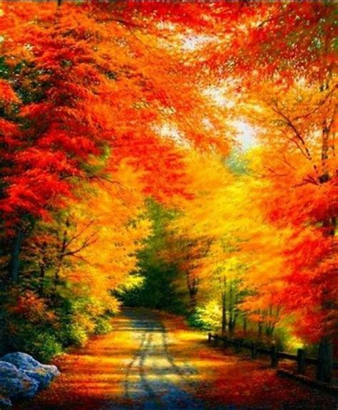 35 Best Autumn Beauty Images On Pinterest Autumn Trees