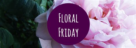 Floral Friday 3 — Creative Countryside
