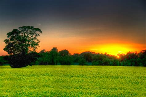 Papel De Parede Luz Solar Panorama Pôr Do Sol Natureza Grama Céu