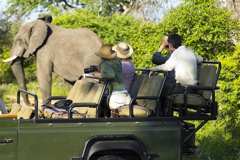 The History Of Safaris From Hunting To Wildlife Conservation