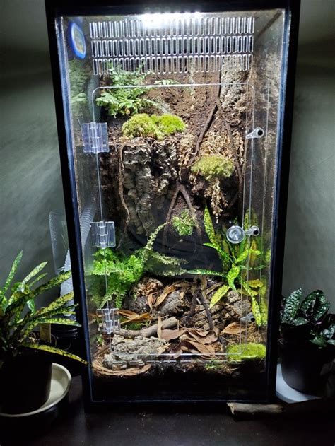 An Aquarium With Plants And Rocks In The Bottom Half On Top Of A Table Next To A Potted Plant