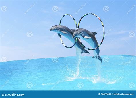Jump The Two Large Bottlenose Dolphins Bottlenose Dolphin And X28lat
