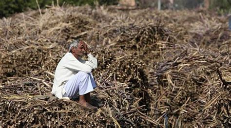 141 Farmers Have Committed Suicide Over 10 Month Period Till Feb 1