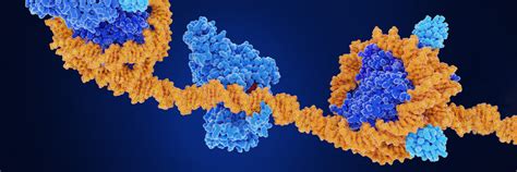 Epigenomic Studies Spotlight New Level Of Cancer Evolution Genomics