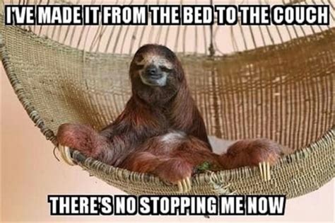40 Best Sloth Meme Meme Central