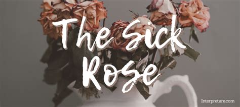 The Sick Rose Poem Analysis And Notes Interpreture