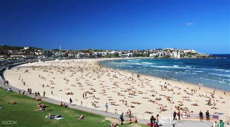 Bondi Beach And Sydney Sights Half Day Tour
