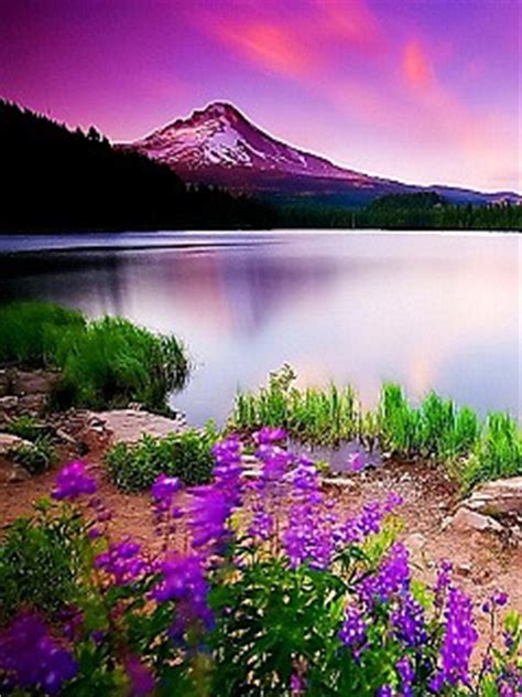 You can easily select your device wallpaper size to show only wallpapers compatible to your android smartphone or iphone. Download Free Mobile Phone Wallpaper Beautiful Nature ...