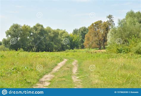 Rural Road In The Field Stock Photo Image Of Rural 157862030