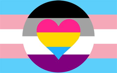 Trans Ace Pan Flag Requested Rqueervexillology