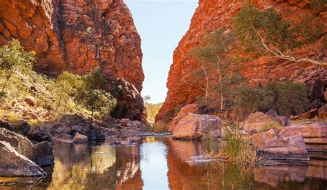 Where will your next travel experience take you? Visit the Northern Territory, See Uluru, Alice Springs and ...