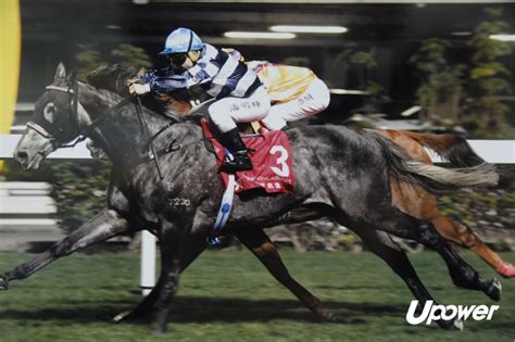 Hong kong federation of trade unions. 【港超聯賽】理文集團養馬有心得 李文恩：好馬最緊要Honest | UPower